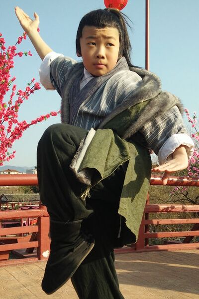 File:Zhouyu Jing Hao.jpg