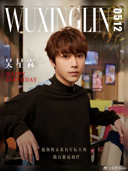 File:Wu Xing Lin.jpg
