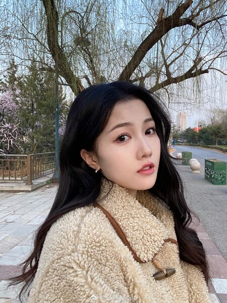 File:Wang Ying Fei (actress).jpg