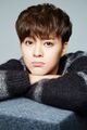 Thumbnail for version as of 07:10, 1 November 2020