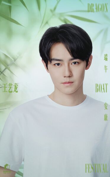 File:Wang Yi Long.jpg