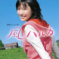 Thumbnail for version as of 02:38, 12 December 2005