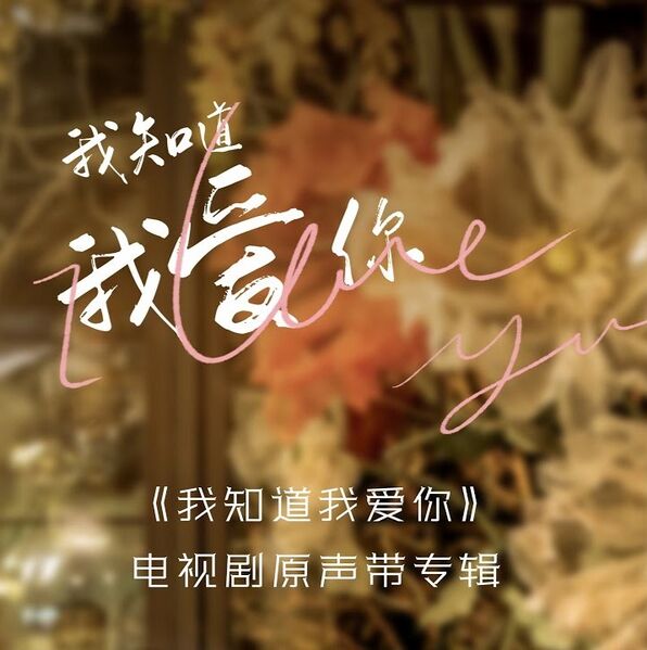 File:I Love You (Tencent) OST.jpg