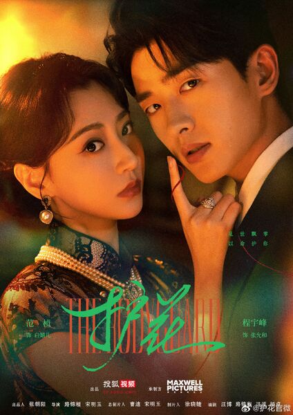 File:The Bodyguard (Sohu TV).jpg