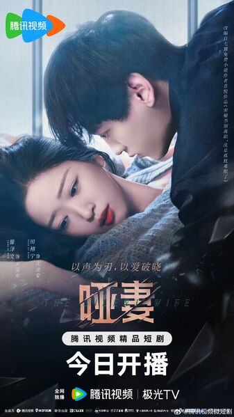 File:The Silent Wife.jpg