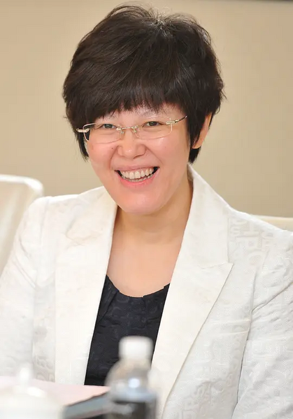 File:Gao Xuan.webp