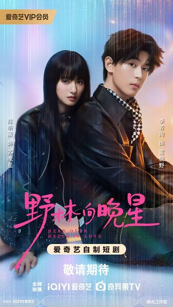 File:Head Over Heels in Love.jpg