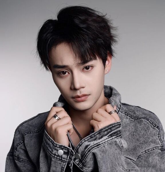 File:Liu Ning (actor).jpg