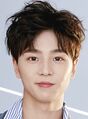 Thumbnail for version as of 22:58, 15 June 2020