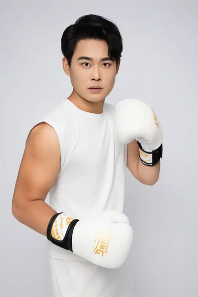 File:Wang Fu Guo.webp