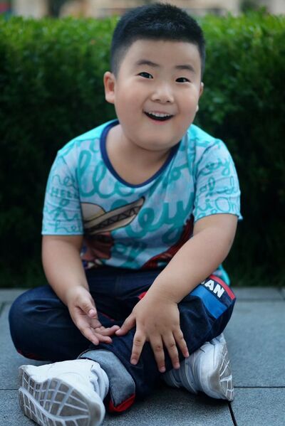 File:Shun Xin.jpeg